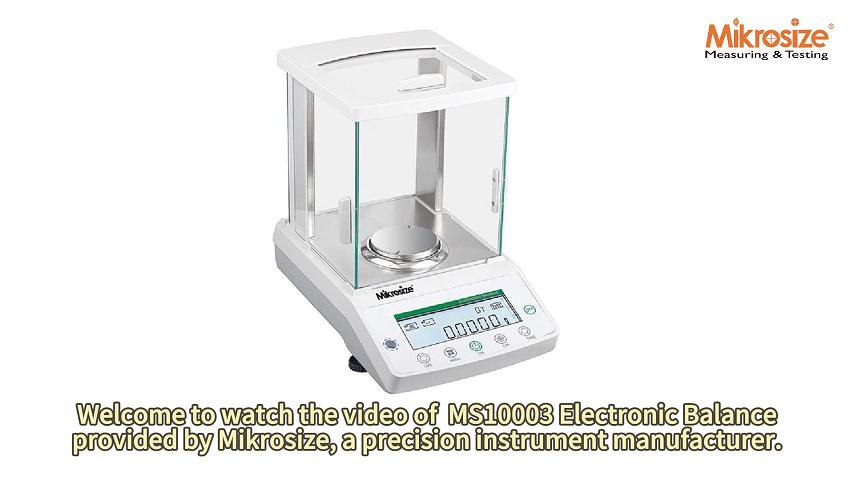 MS10003 Electronic Balance