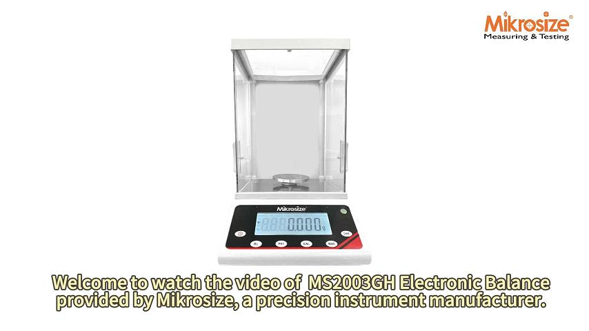 MS2003GH Electronic Balance