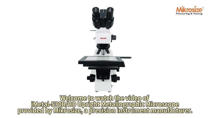 iMetal-530B/BD Upright Metallographic Microscope