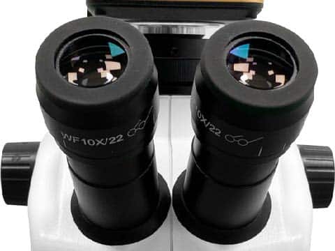 IStereo 211VT Stereo Microscope（4）
