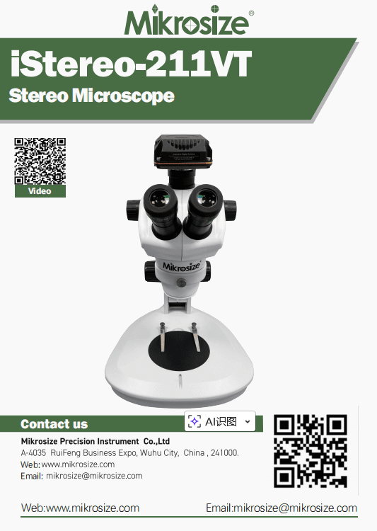 iStereo-211VT Stereo Microscope